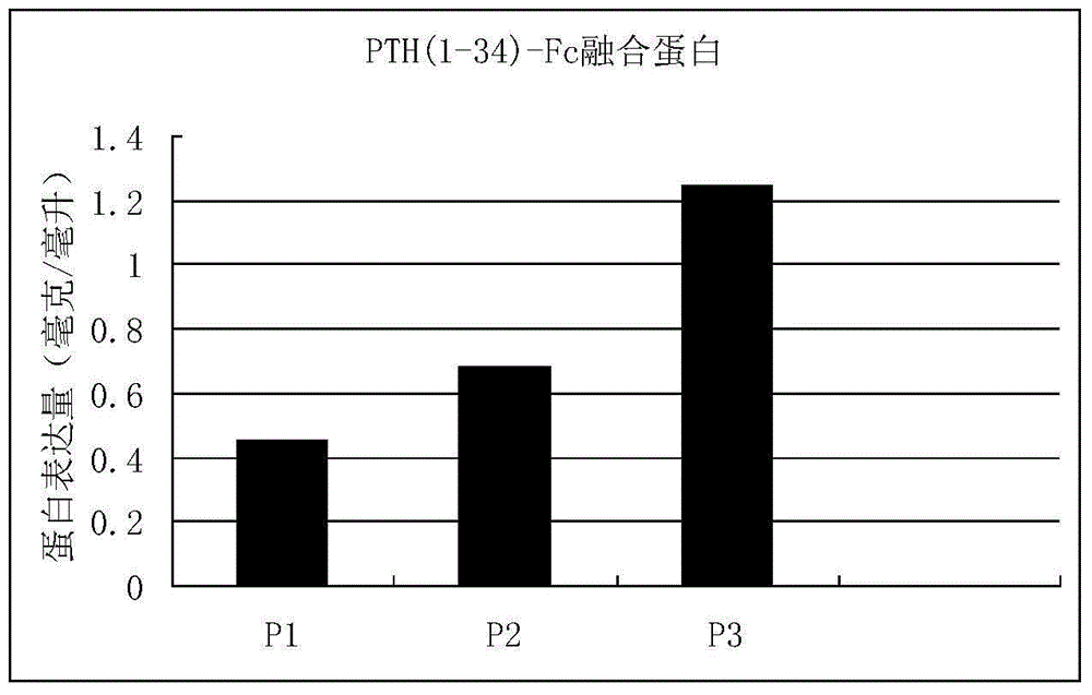 Human parathyrine PTH (1-34) fusion protein and use thereof