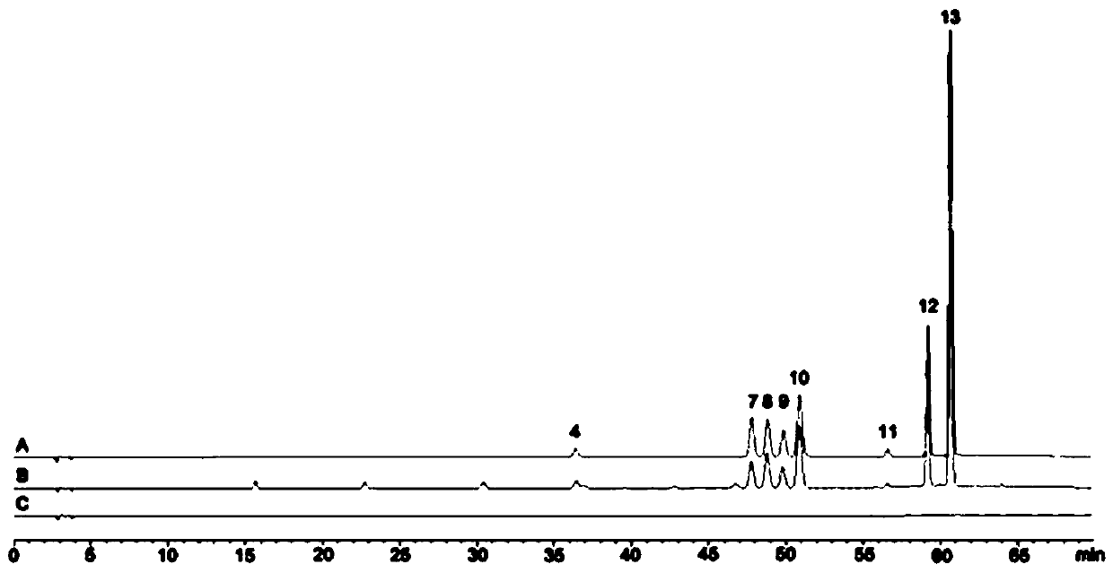 Method for detecting HPLC fingerprint spectrum of wine steamed coptidis rhizoma