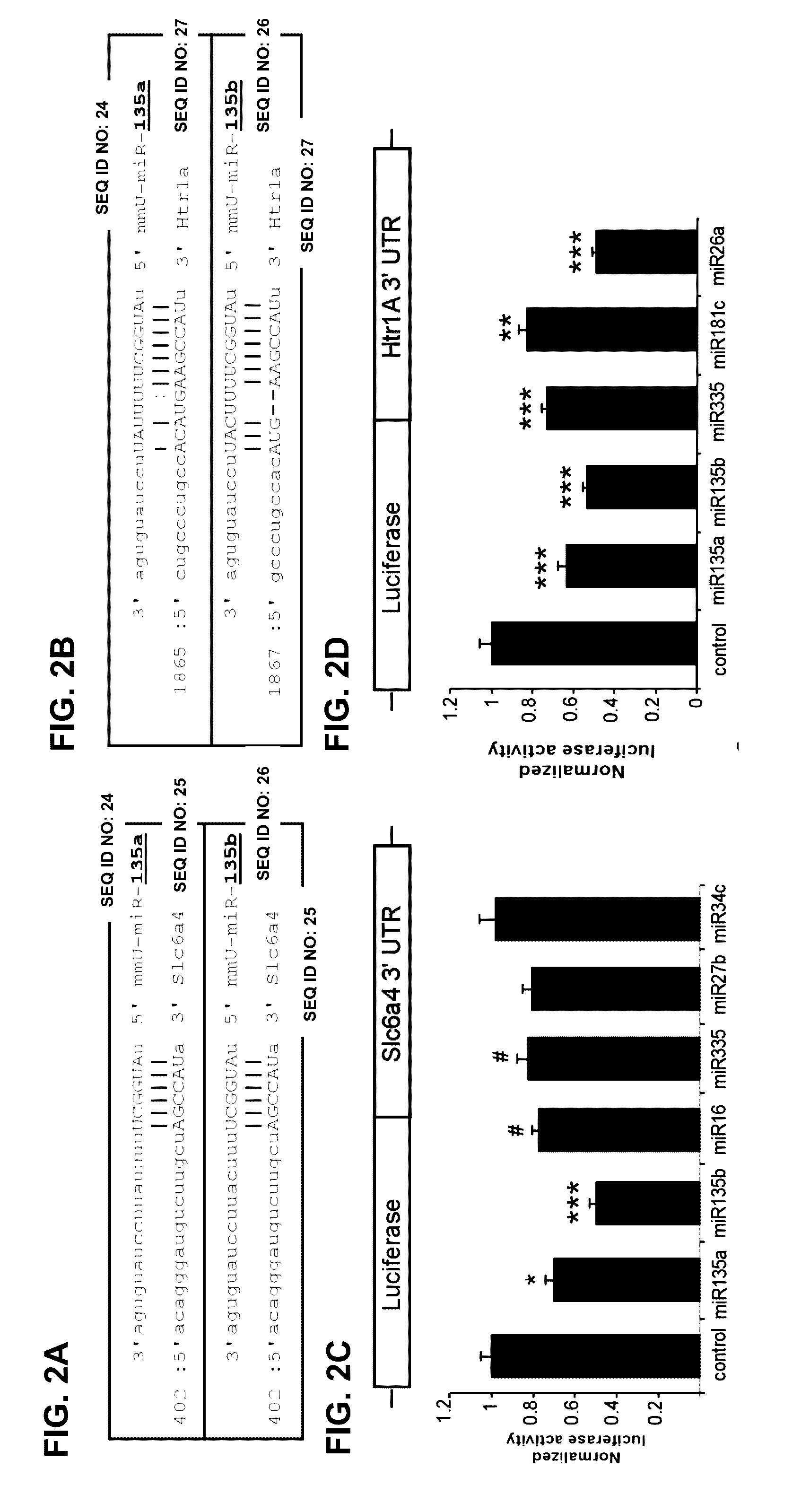 Micro-rnas and compositions comprising same for the treatment and diagnosis of serotonin-, adrenalin-, noradrenalin-, glutamate-, and corticotropin-releasing hormone- associated medical conditionsnoradreanlin-, glutamate-, and corticotropin releasing hormone- associated medical conditions