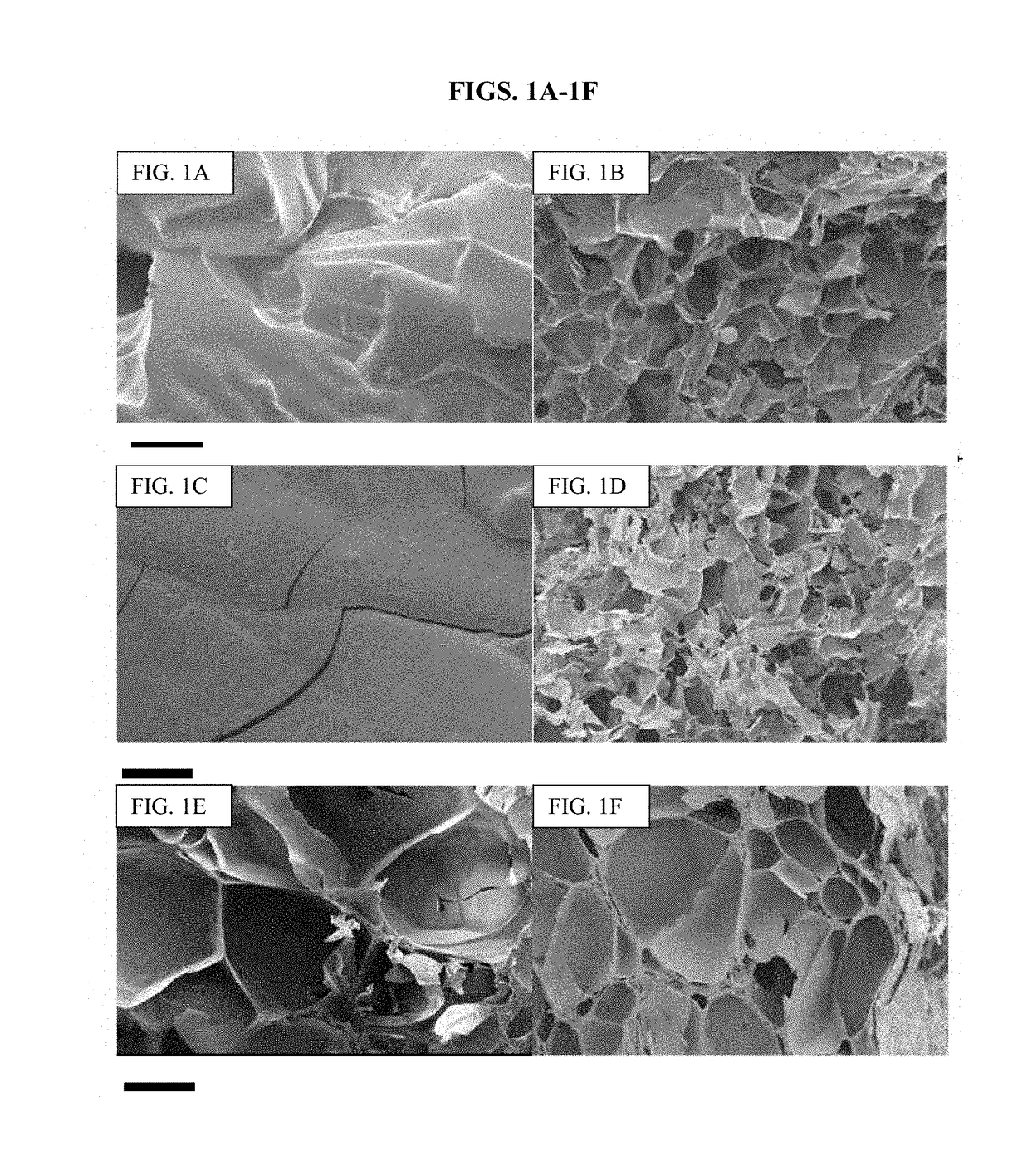 Honey eluting cryogel for tissue engineering