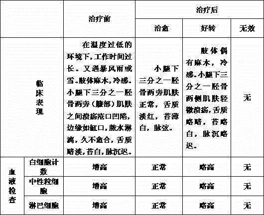 Preparation method of traditional Chinese medicine lotion for treating low-temperature-form ecthyma
