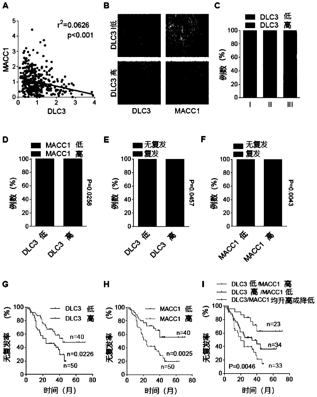 Use of DLC3 for preparation of drug for targeted treatment of gastric cancer