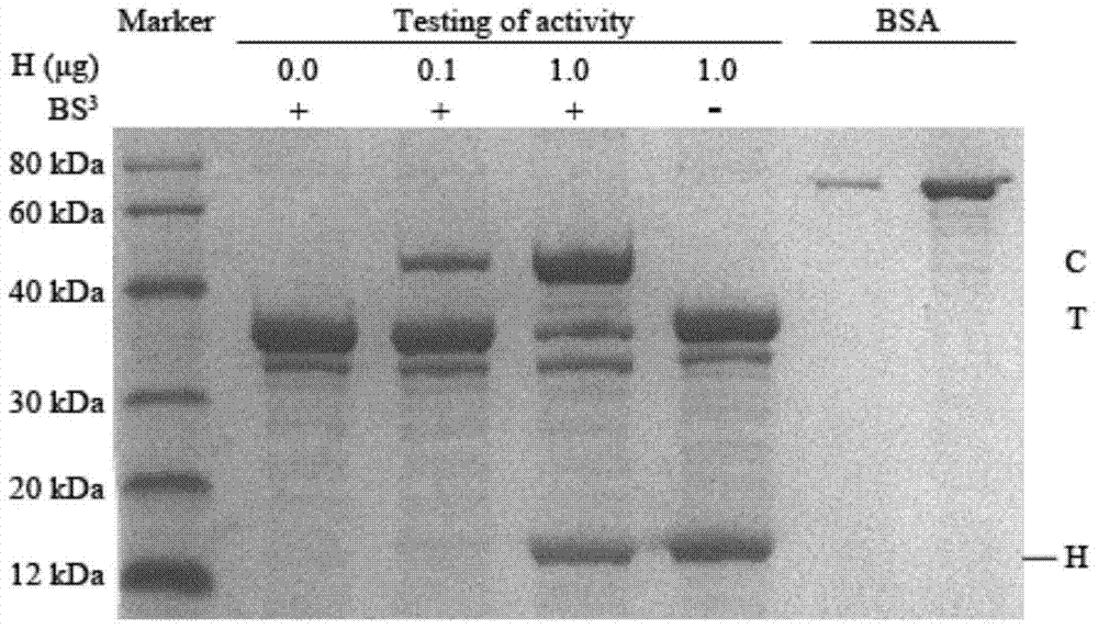 Determination method of hirudin antithrombin activity