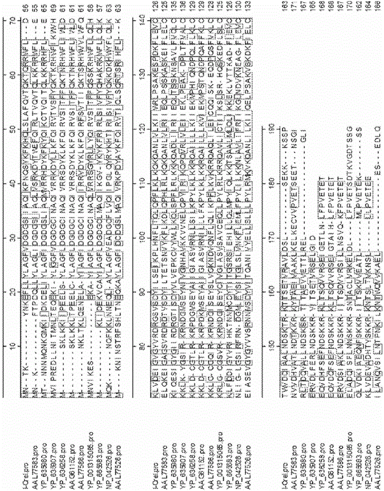 Compositions and methods comprising sequences having meganuclease activity