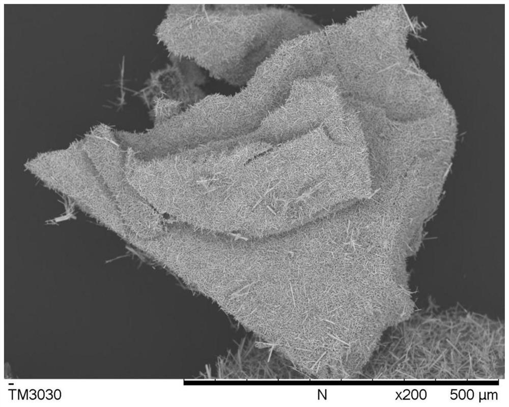 A kind of preparation method of rod-shaped purple tungsten