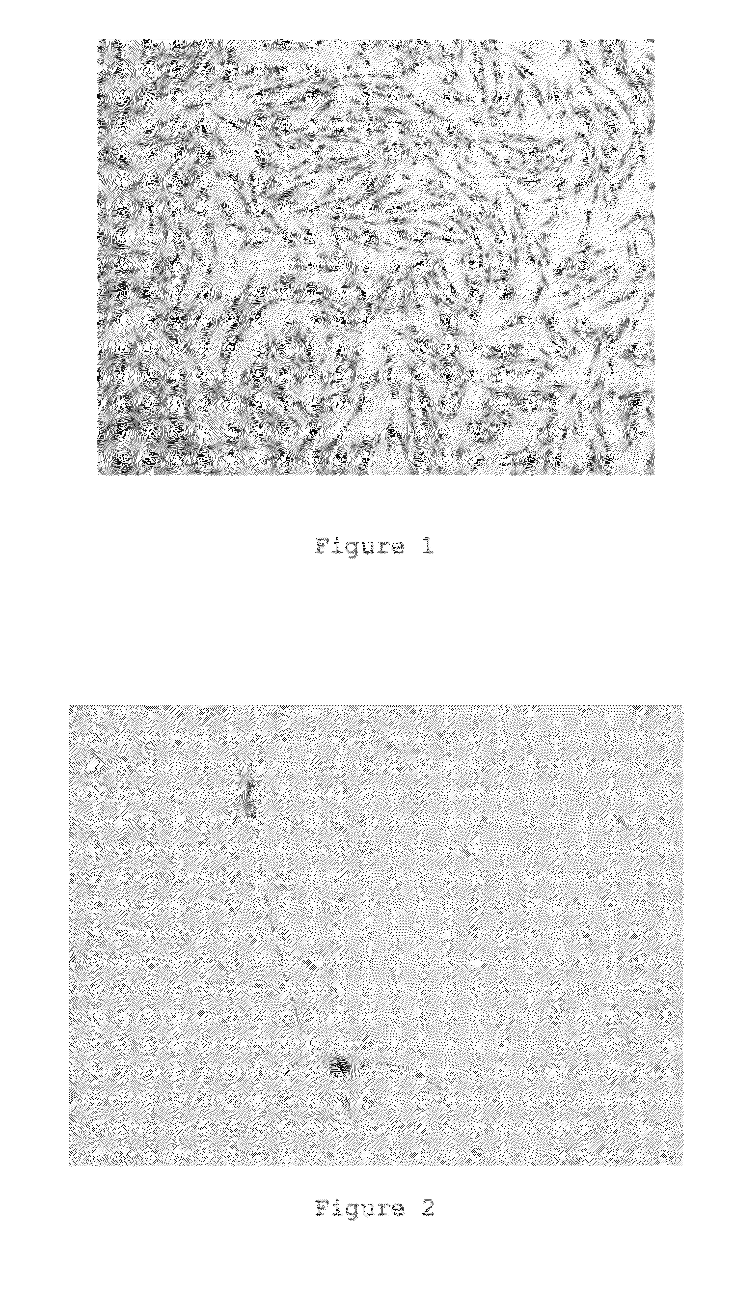 Differentiation process of mesenchymal stem cells and therapeutic use thereof