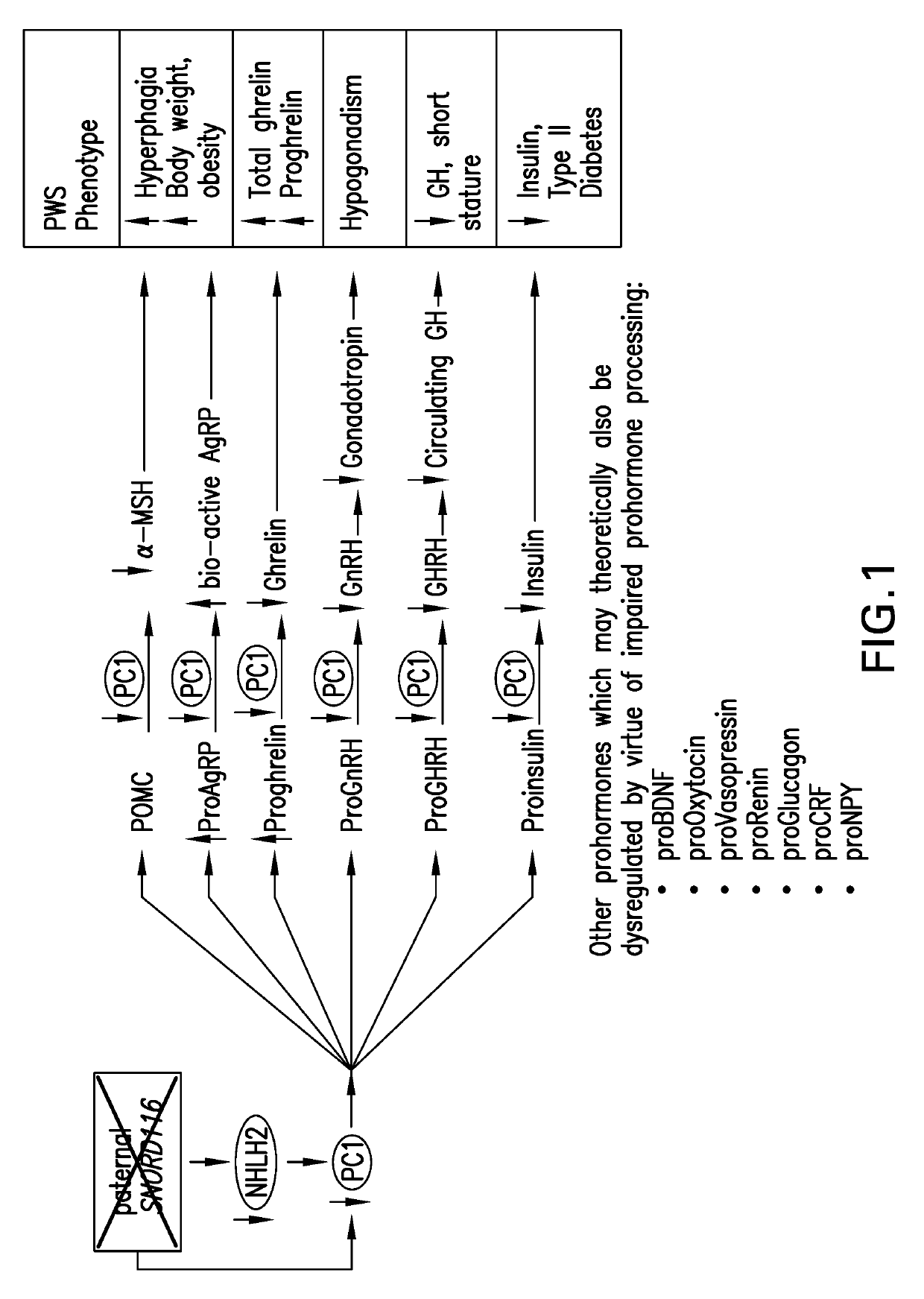 Methods of treating prader-willi syndrome