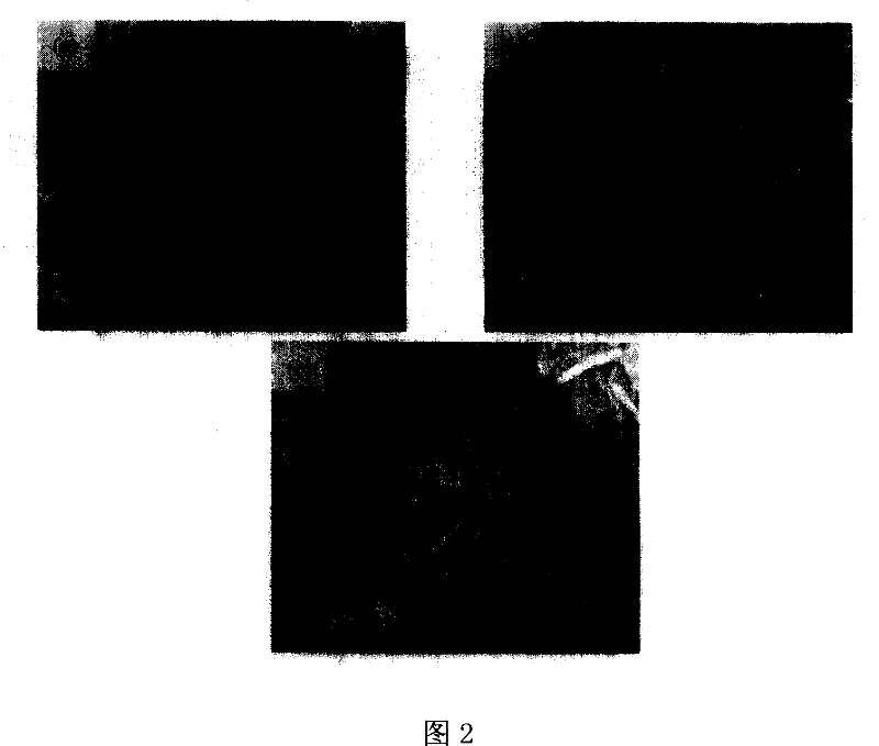 Sheet natrium/lithium-manganese material having high specific surface area and preparation method thereof