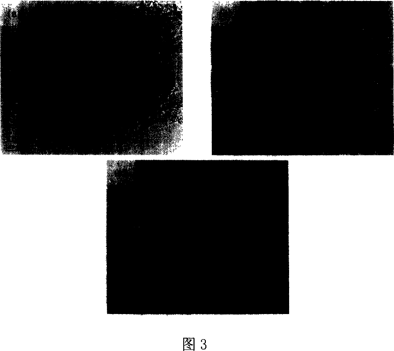 Sheet natrium/lithium-manganese material having high specific surface area and preparation method thereof