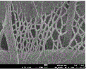 Phosphate nanofiber photocatalyst and preparation method thereof