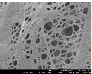 Phosphate nanofiber photocatalyst and preparation method thereof