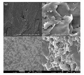 Preparation method of chitosan gel with high water absorbability