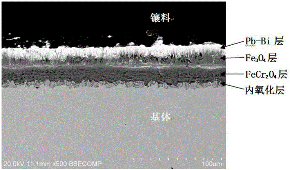 A low-activation martensitic heat-resistant steel with oxidation resistance and liquid lead bismuth corrosion resistance