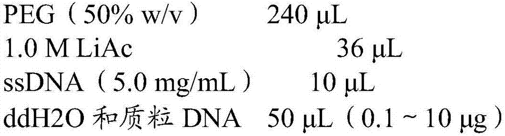 Tobacco HKT 1 gene and preparation method and application thereof