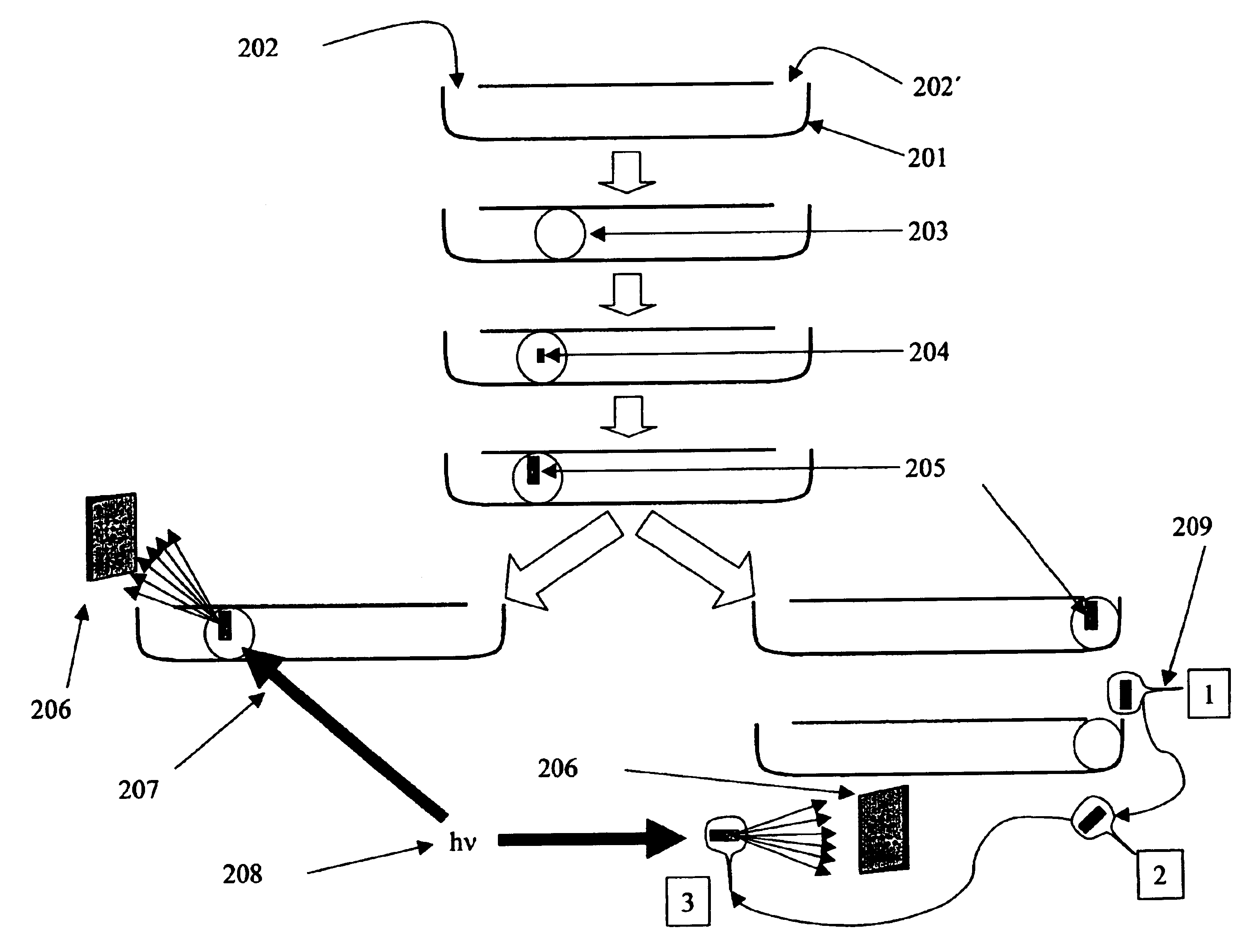Microfluidic device for parallel delivery and mixing of fluids