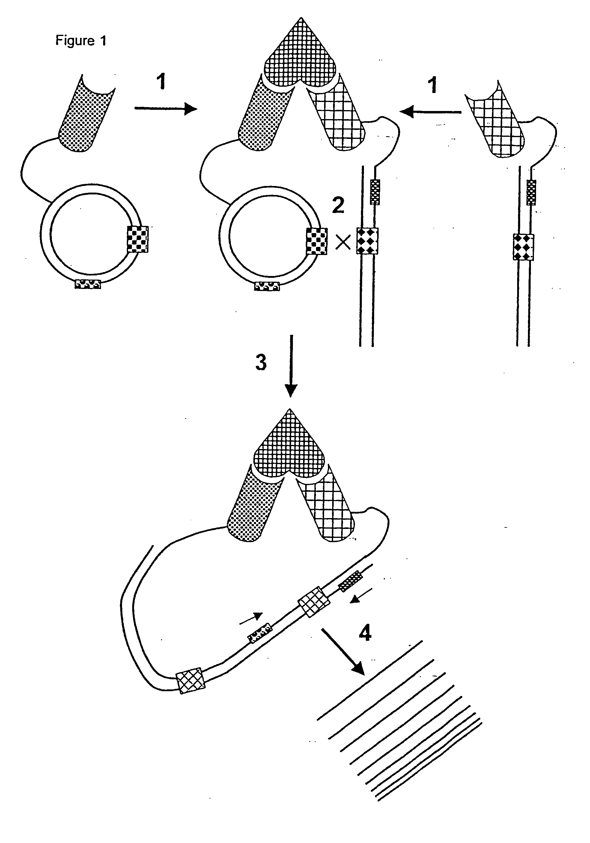 Methods for detection of target molecules and molecular interactions