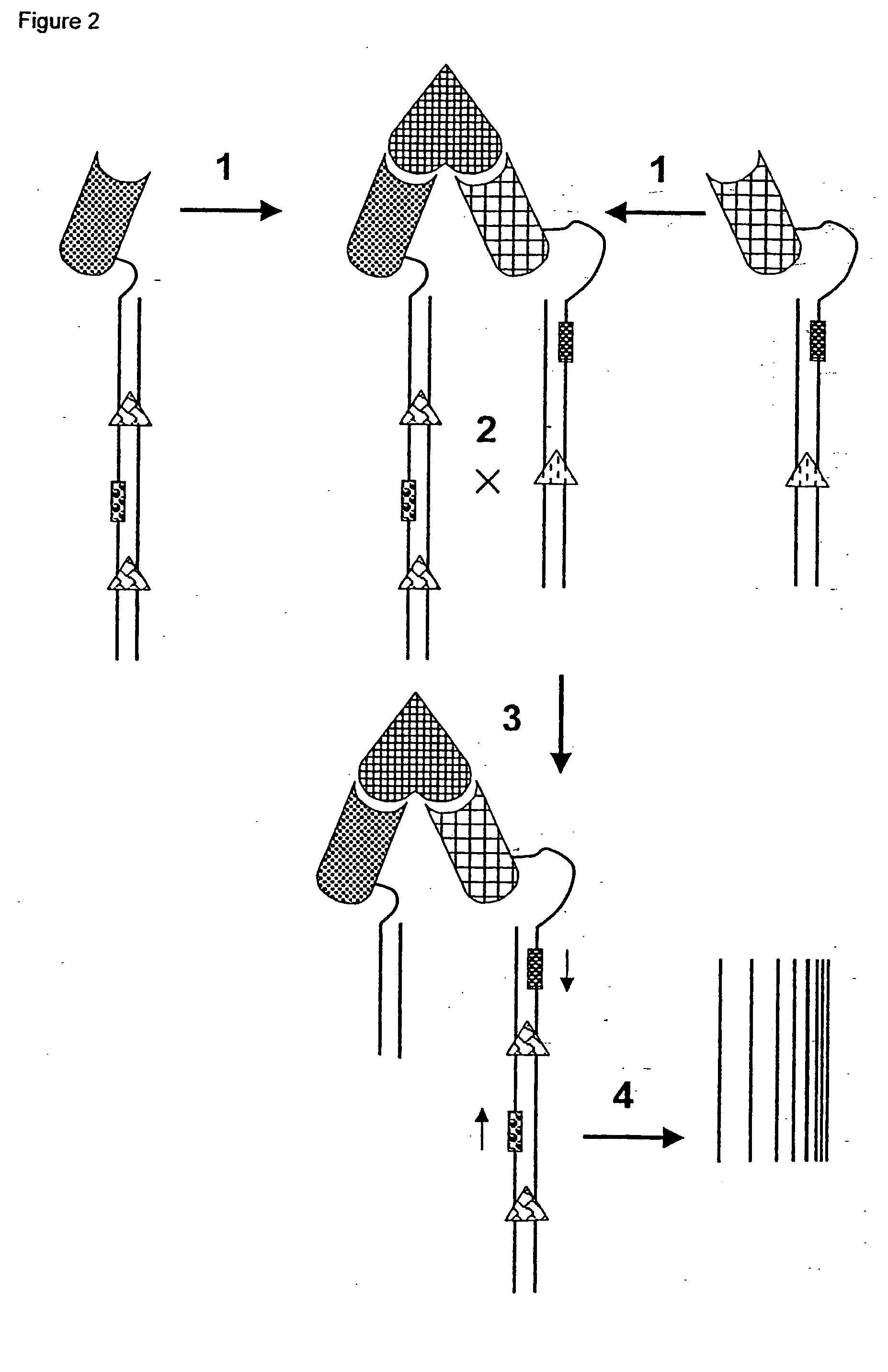 Methods for detection of target molecules and molecular interactions