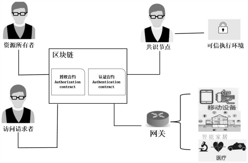 Internet of things access control method with privacy protection based on blockchain