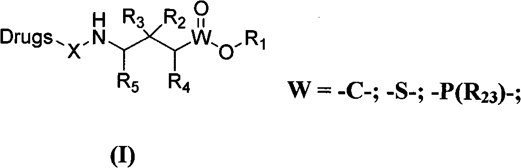 GABA (Gamma-Aminobutyric Acid) conjugates and using method thereof