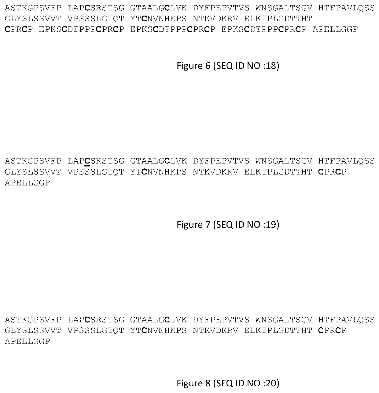 Human IgG1 derived antibody with pro-apoptotic activity