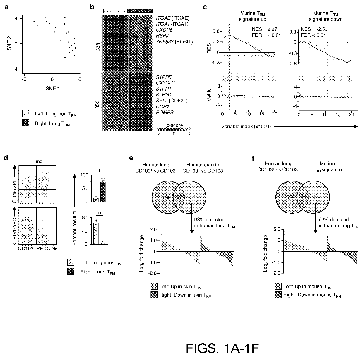 Tissue resident memory cell profiles, and uses thereof