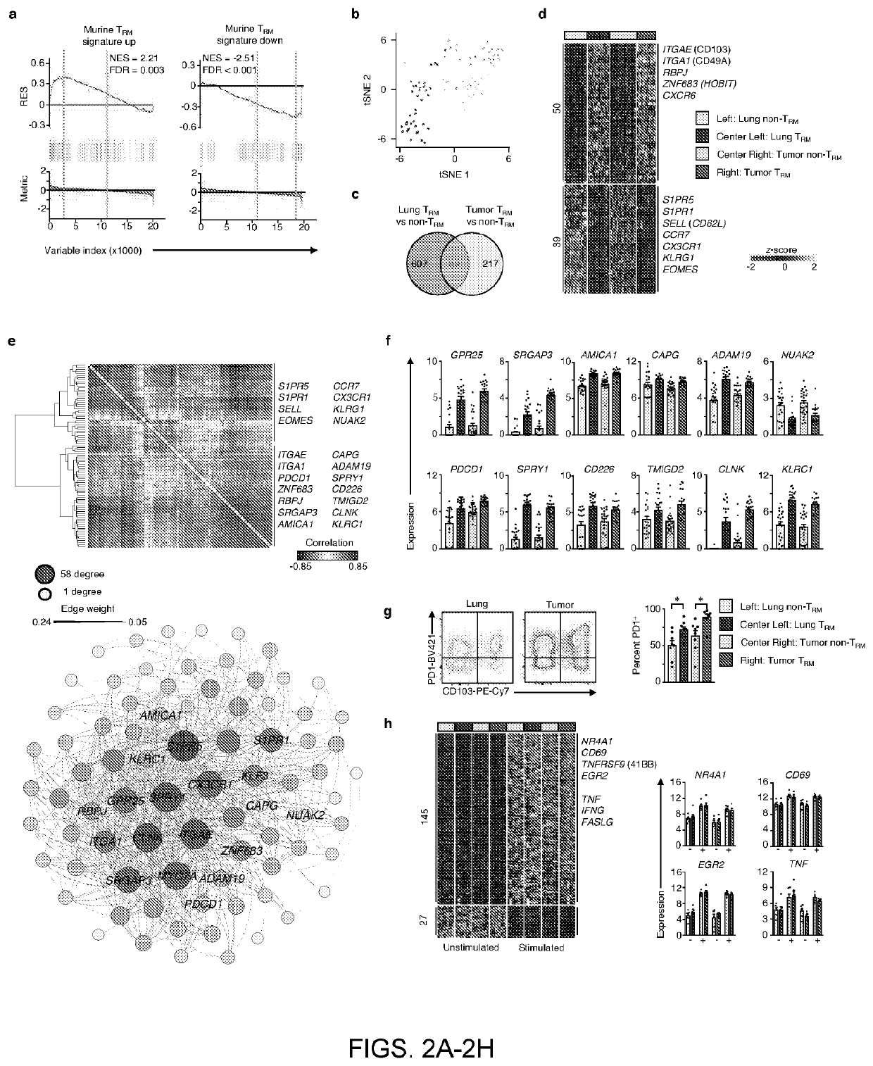 Tissue resident memory cell profiles, and uses thereof