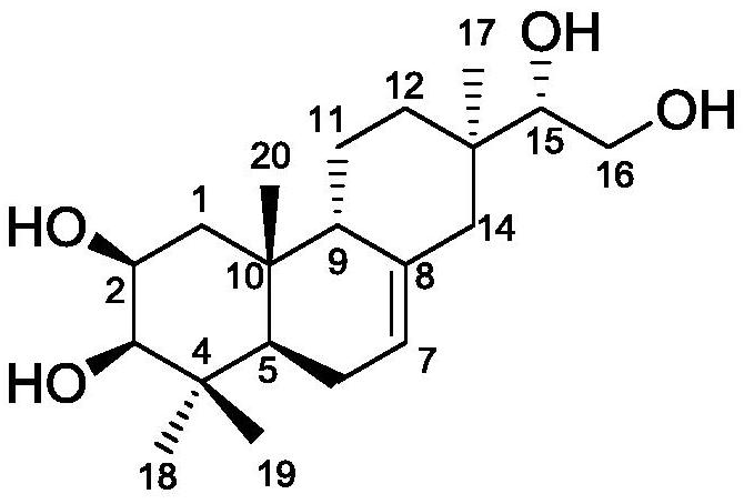 A kind of honeysuckle diterpenoid compound and its preparation method and anti-agricultural fungus use
