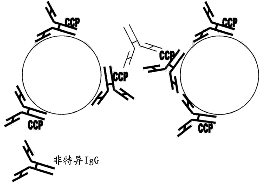 Assay method for antibodies against cyclic citrullinated peptide