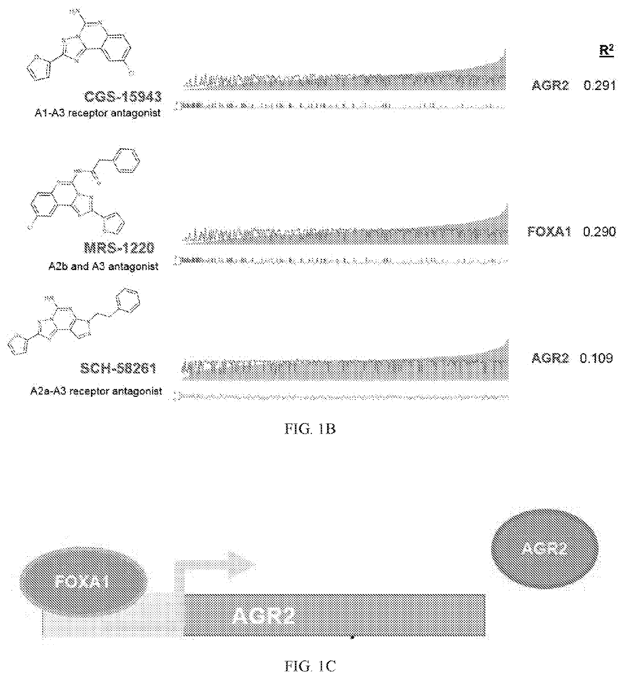 Aryl hydrocarbon receptor (AHR) activator compounds as cancer therapeutics