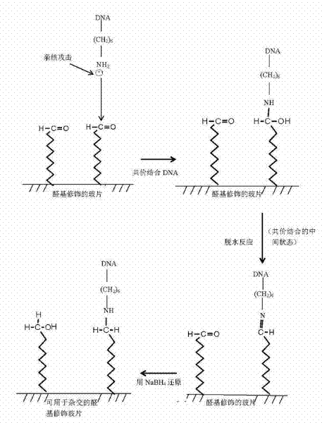 Pig virus gene chip and detection method thereof