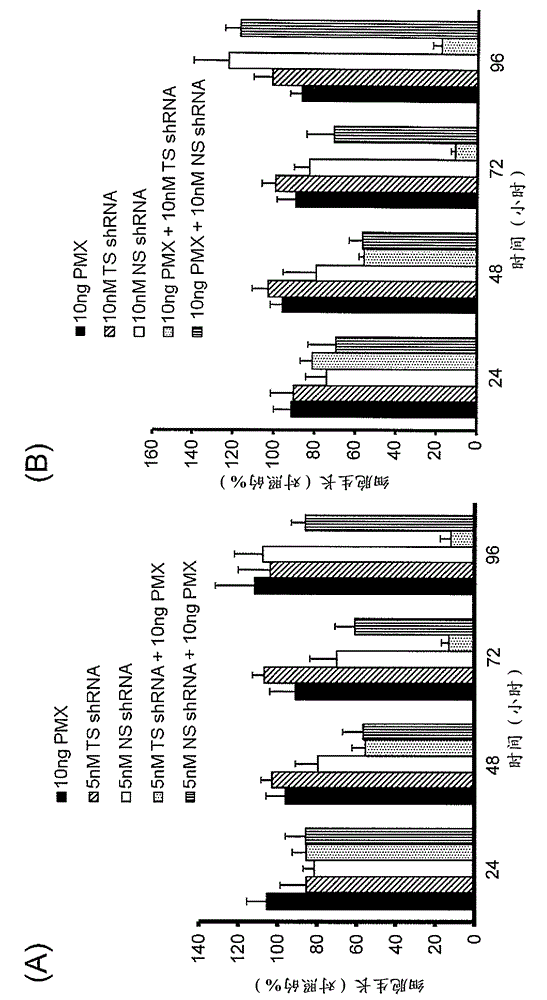 Liposome containing shRNA molecule for thymidylate synthase, and use for same