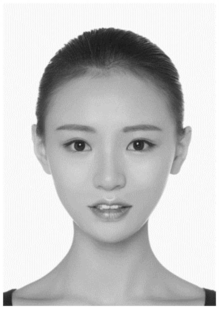Face simulation shaping method and device, electronic equipment and storage medium
