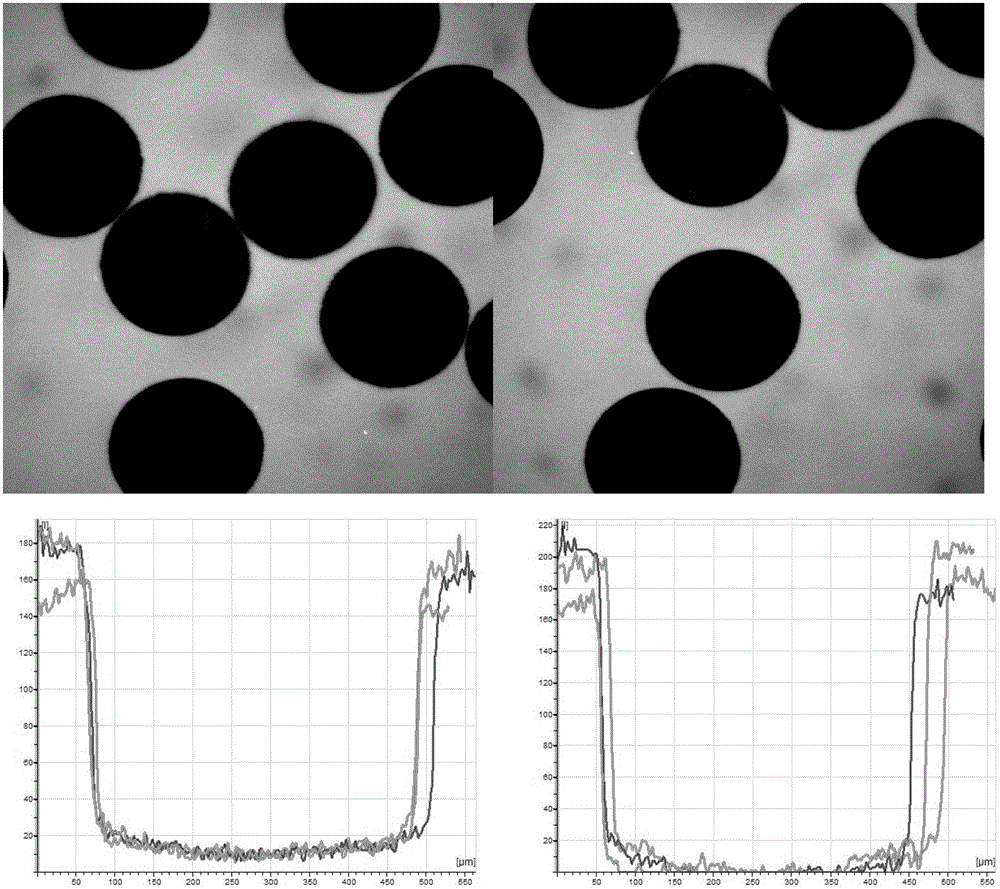 A Magnetic Field Fluidized Bed Microencapsulated Reactor for Artificial Liver