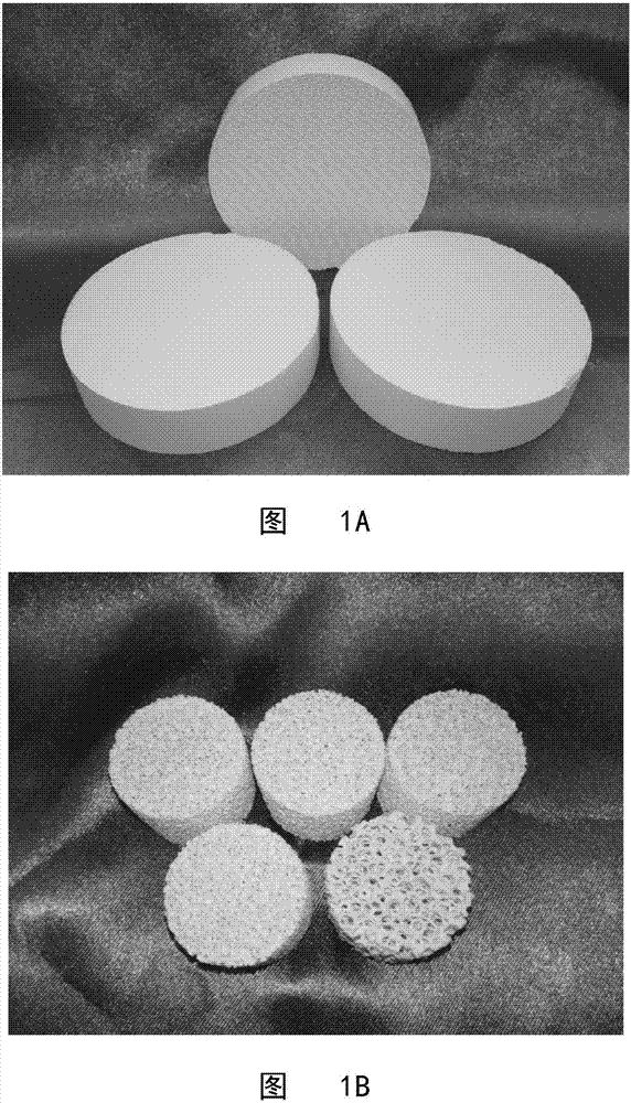 Monolithic cluster alumina supported catalyst and application thereof