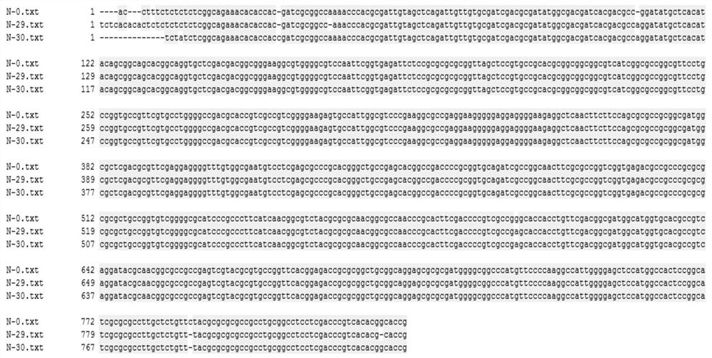 Rice Epoxy Carotenoid Dioxygenase  <i>osnced3</i> Gene coding sequence and its application