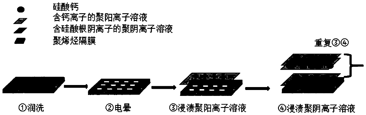 Method for modifying polyolefin lithium-ion battery separator