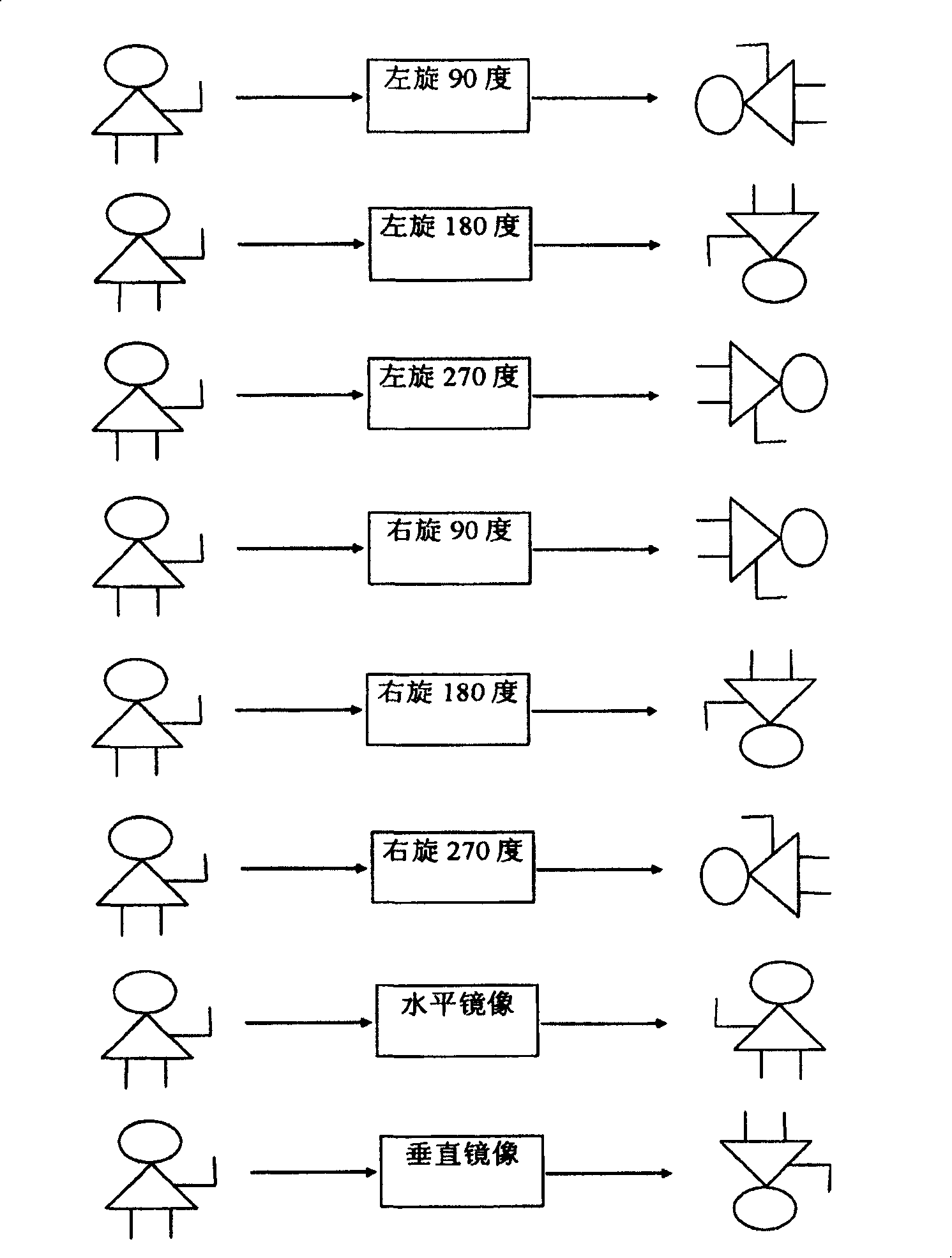 Equipment and method for performing geometric transformation in video rendition