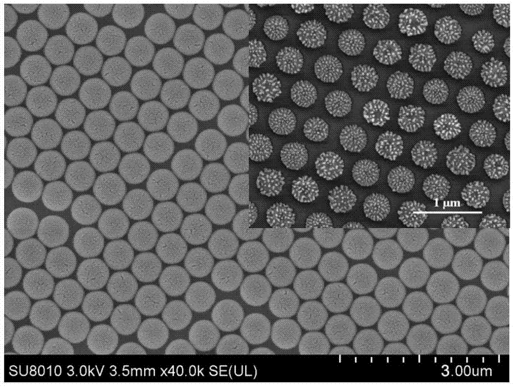 A kind of method that utilizes organic macromolecule material as catalyst to prepare ito nanowire