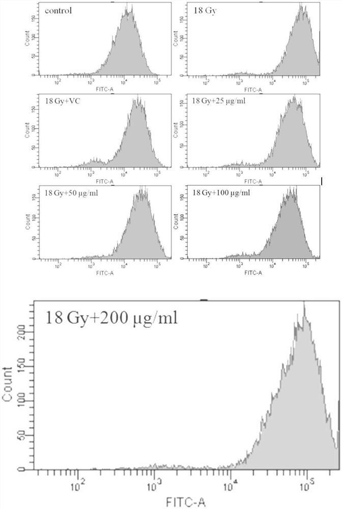 Application of ferulic acid in treatment of radioactive skin injury