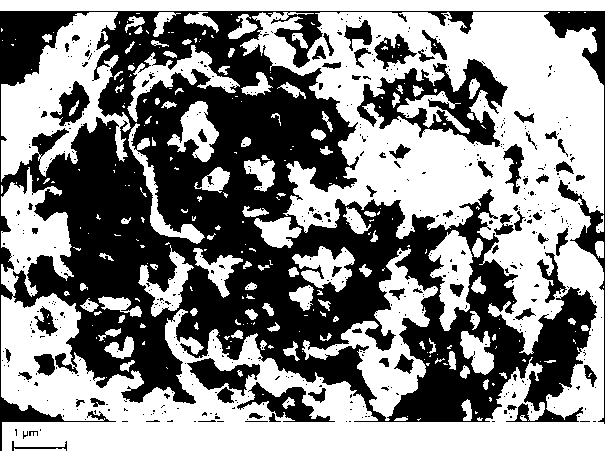 Anode material of lithium ion power battery and lithium ion powder battery comprising same