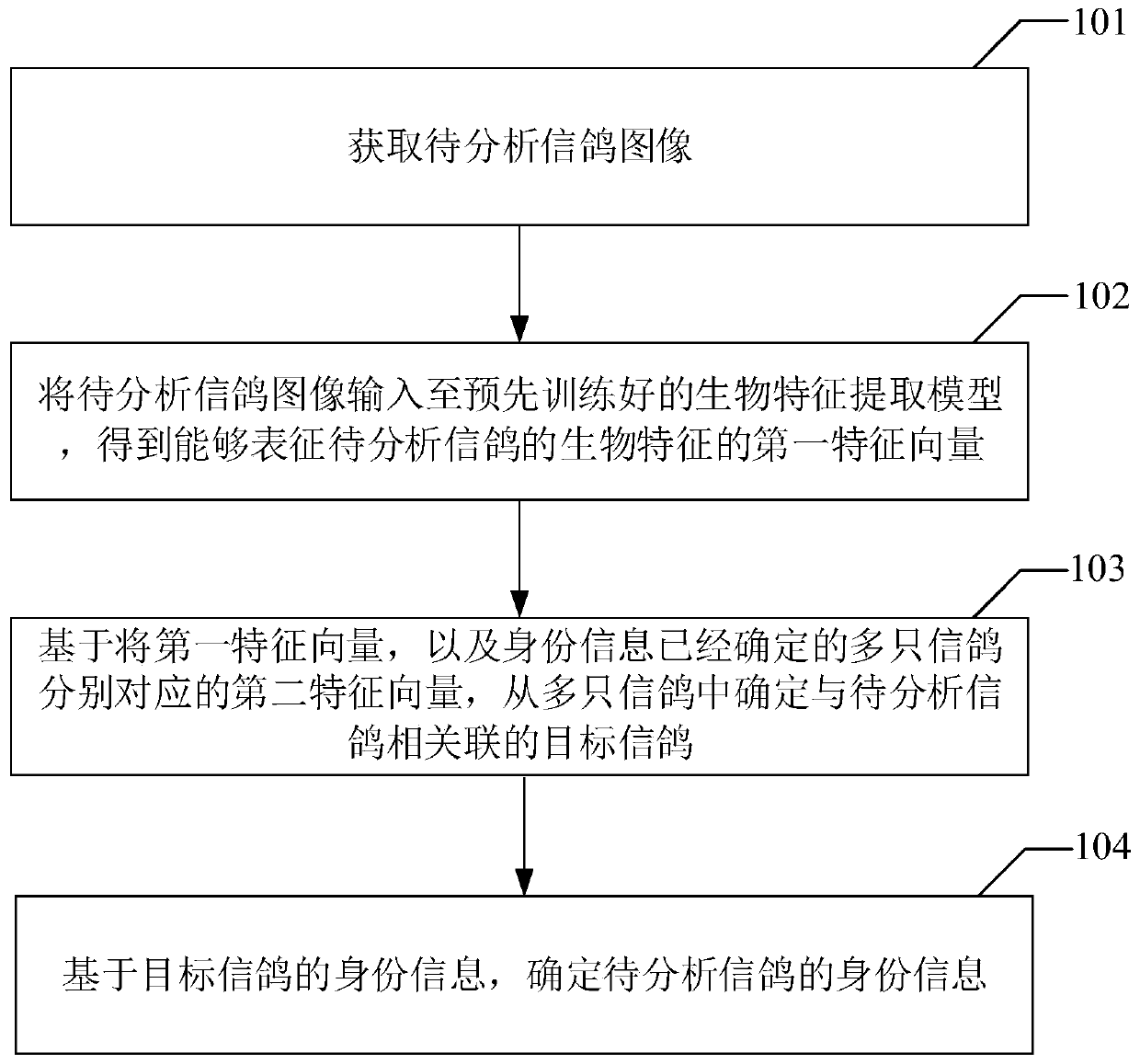 Carrier pigeon identity information analysis method and device