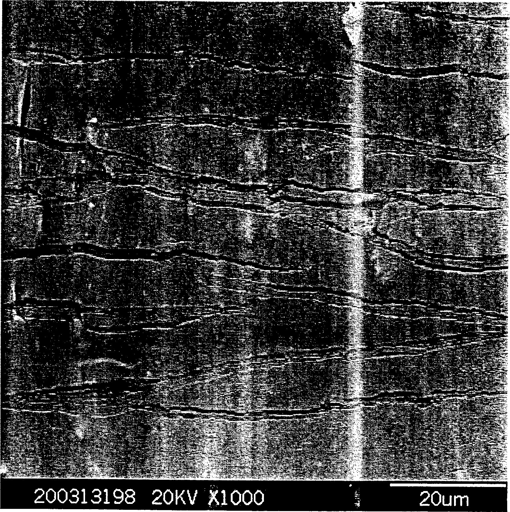 Overall plastic microcosmic laminar composite and its preparation method