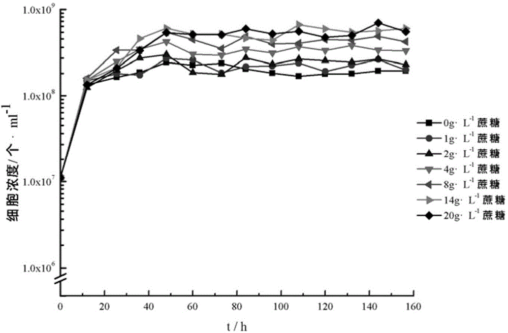 Rhodosporidium toruloides Y0 and application thereof