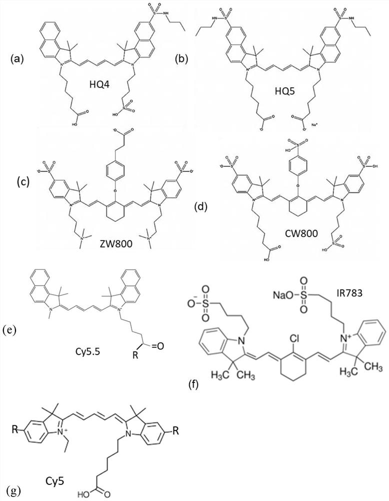 Targeting compounds for cancers selected from esophagus, pharynx and larynx, lung, brain, and intestines