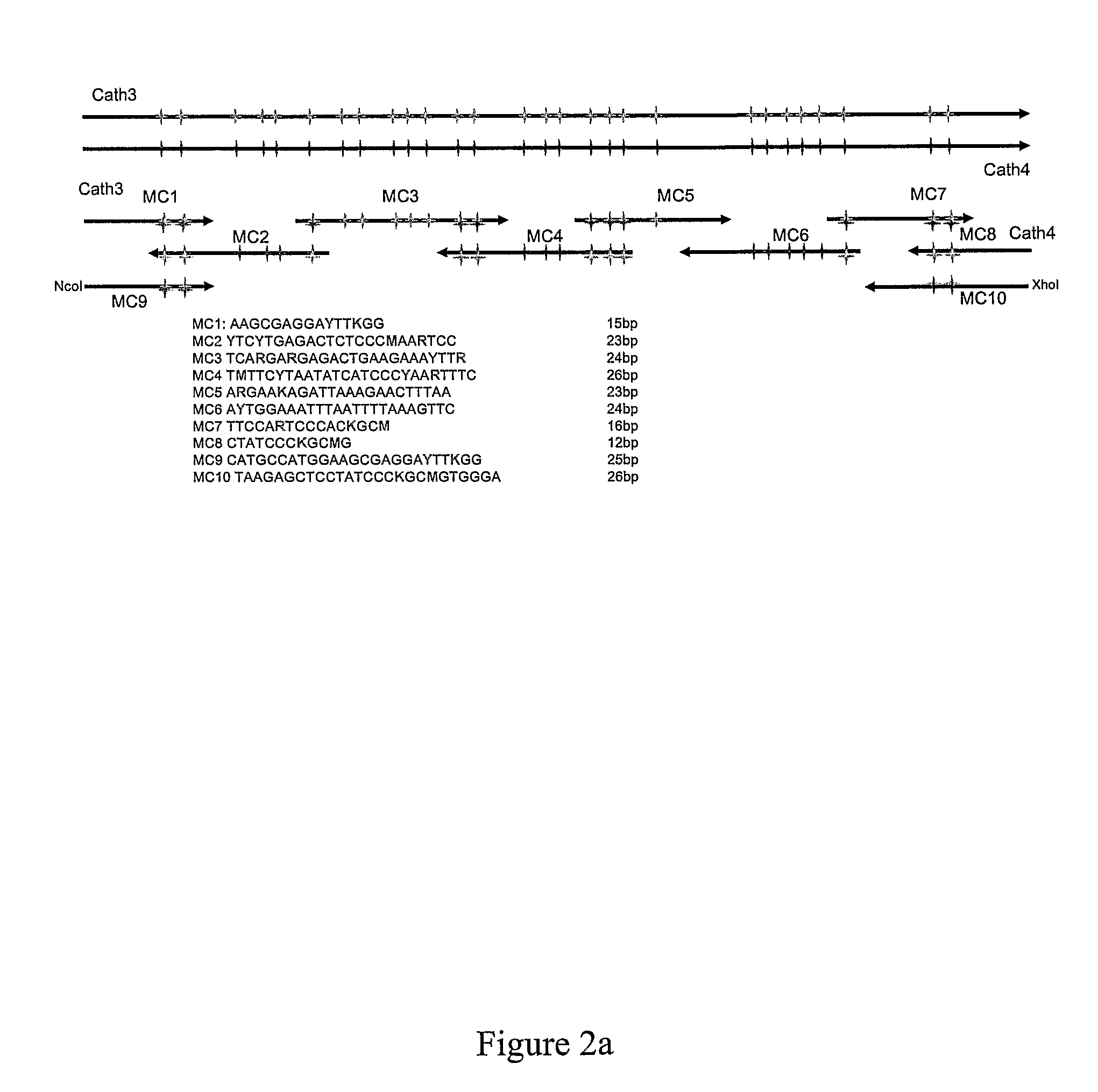 Method of treatment using antimicrobial composition
