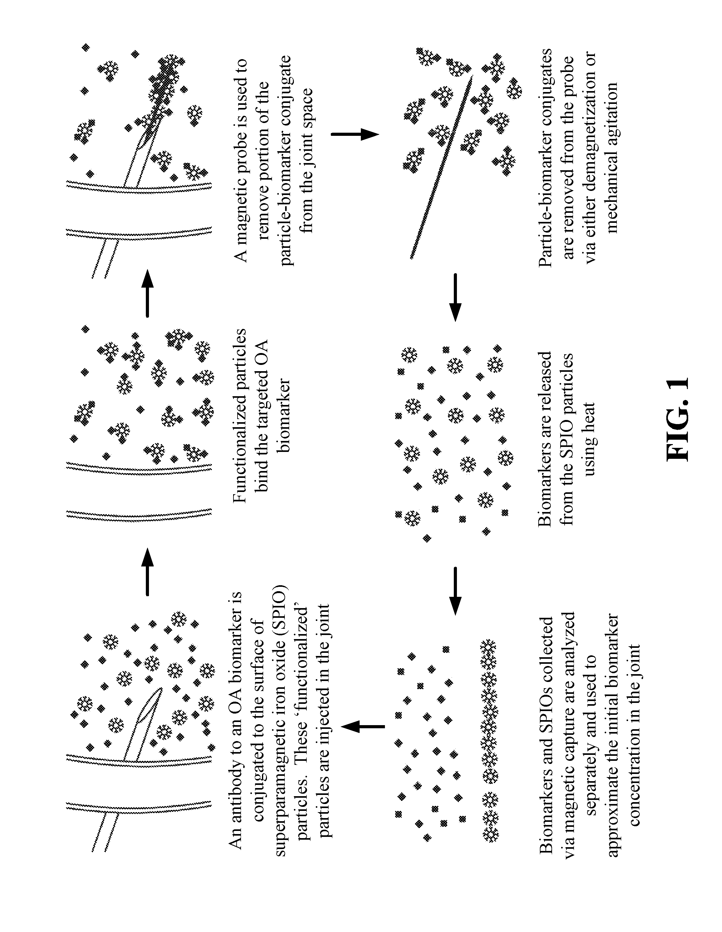 Magnetic apparatus and methods of use