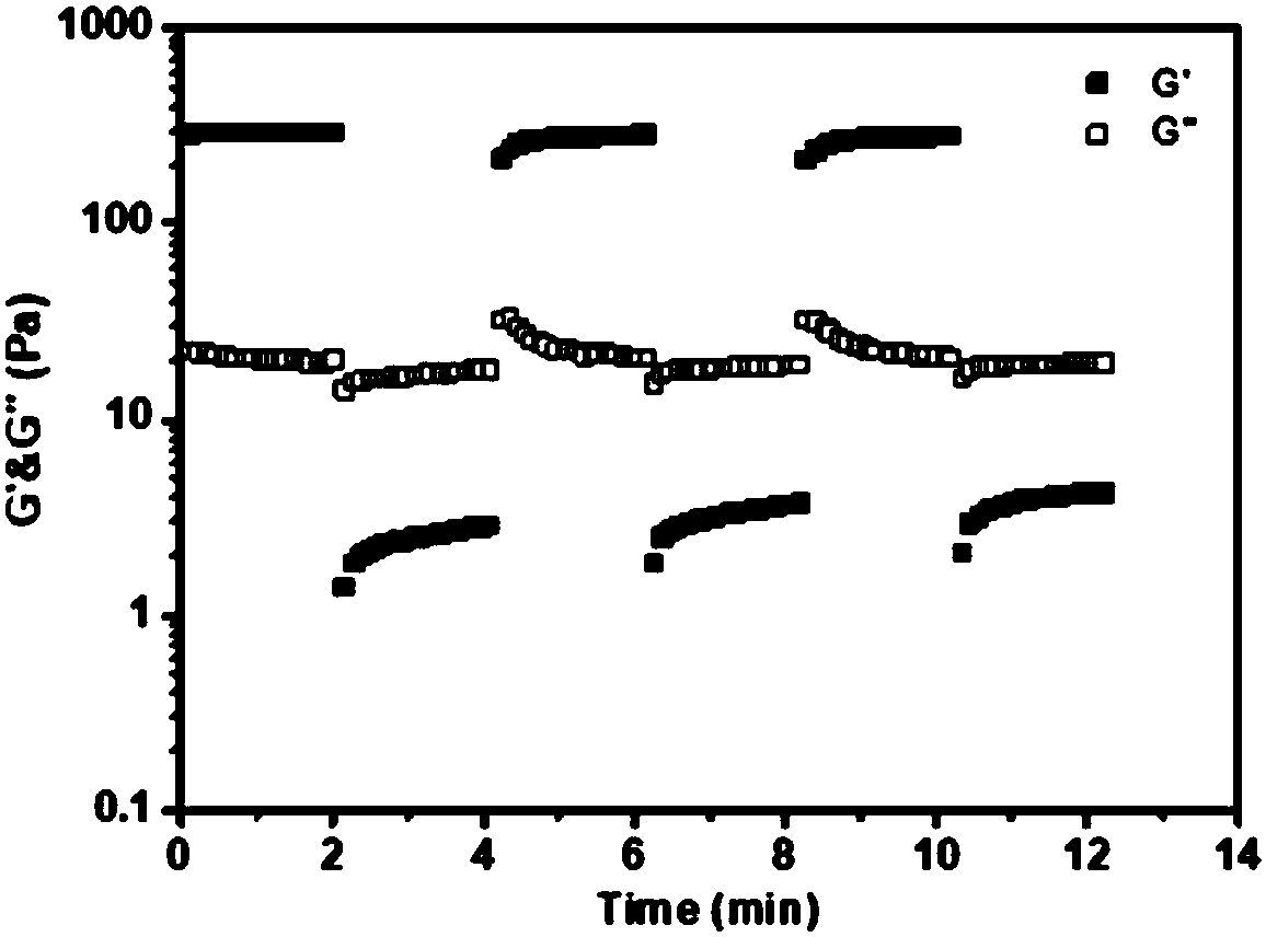Injectable polymer hydrogel based on acylhydrazone bond, preparation method thereof and polymer hydrogel injection