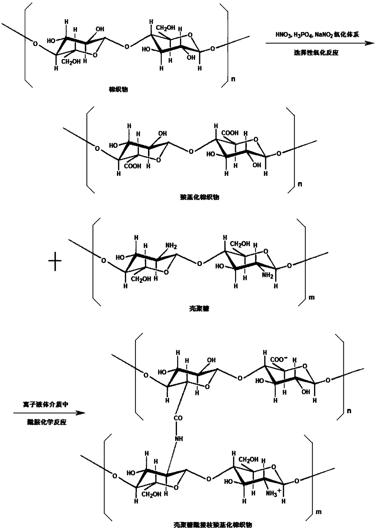 Method for preparing chitosan modified carboxylation cotton fabric in ionic liquid medium