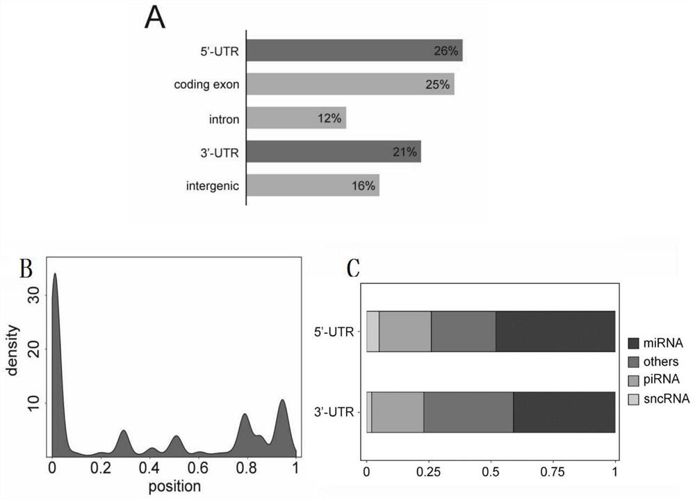 Transcript annotation method and method for screening long non-coding RNA and endogenous retrovirus source long non-coding RNA