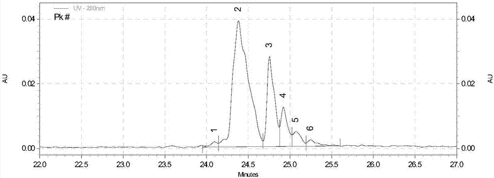 Anti-human ErbB2 bispecific antibody as well as preparation method and application thereof